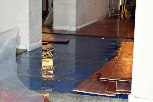 Professional Burst Pipe Cleanup technician working in Springtown, TX